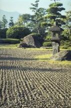 garden.jpg